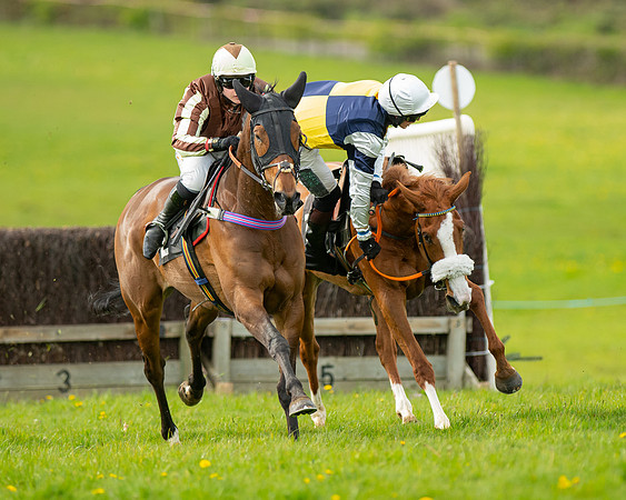 Race 5 - Open Maiden  (47 of 89)