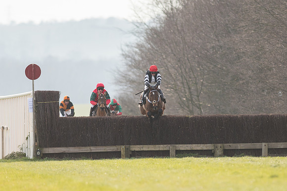 Race 5 - Restricted Race (55 of 98).jpg