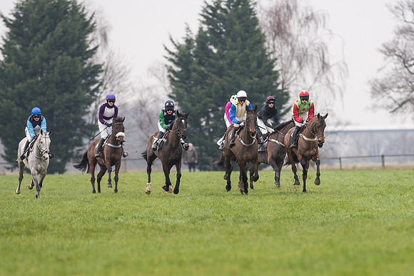 Race 6 - Open Maiden Div 2 (41 of 97).jpg