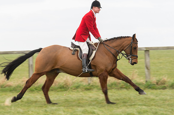 Race 2 - PPORA Novice riders  (68 of 186).jpg
