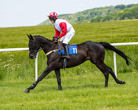 Race 1 - The Little Red owner Trainer conditions (90 of 345)