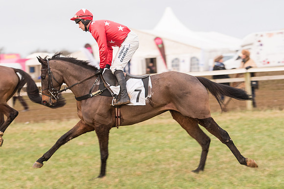 Race 7 - Yoiung Horse Maiden Race (14 of 101).jpg