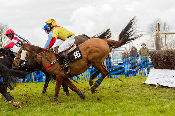 Race 2 - Novice and Veterans   (63 of 101).jpg