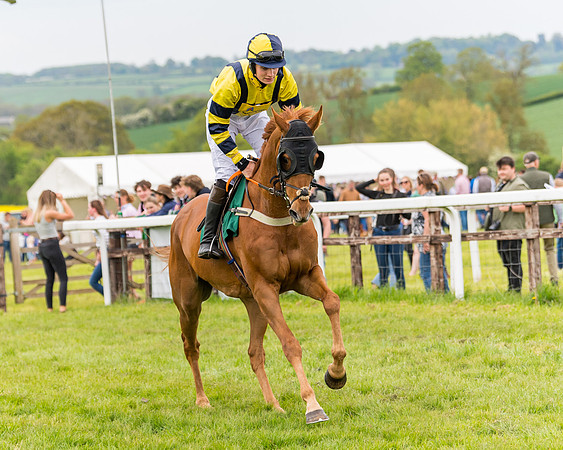 Race 7 - Veteran Horse conditions (80 of 244)