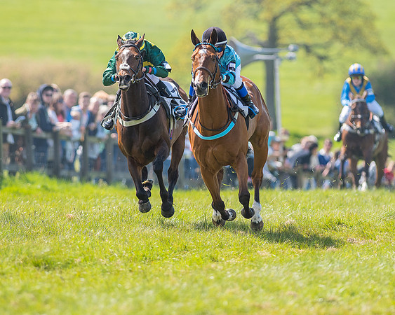Pony Race 3 (20 of 38).jpg