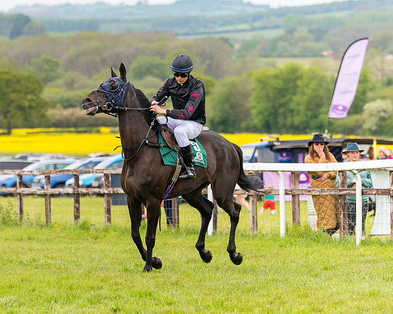 Race 7 - Veteran Horse conditions (59 of 244)
