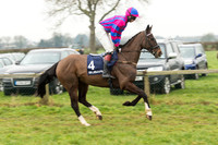 Race 5 - The Restricted Race (10 of 86).jpg