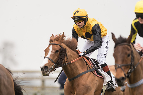 Race 4 - Ladies Open Race (56 of 96).jpg
