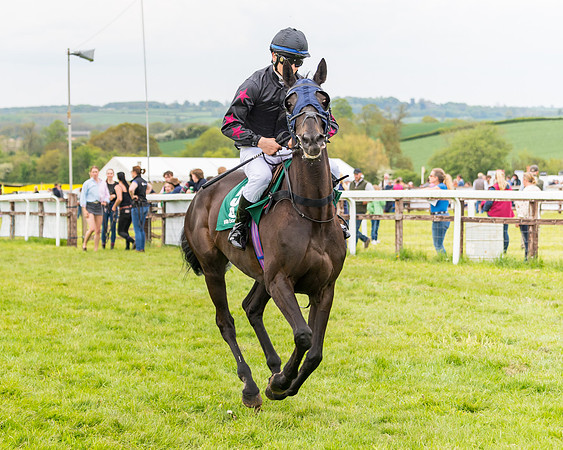 Race 7 - Veteran Horse conditions (63 of 244)