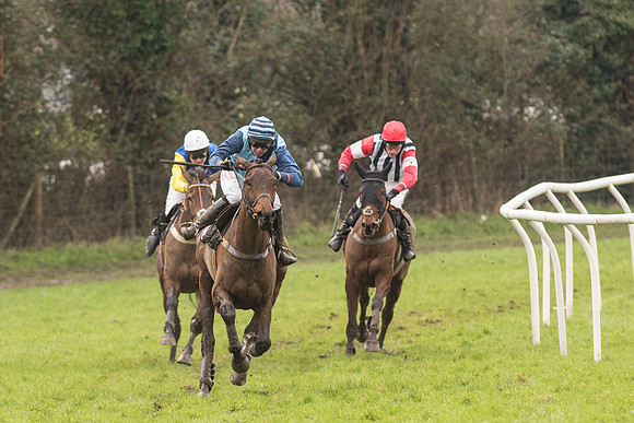 Race 1 - Young Horse Maiden (32 of 50).jpg