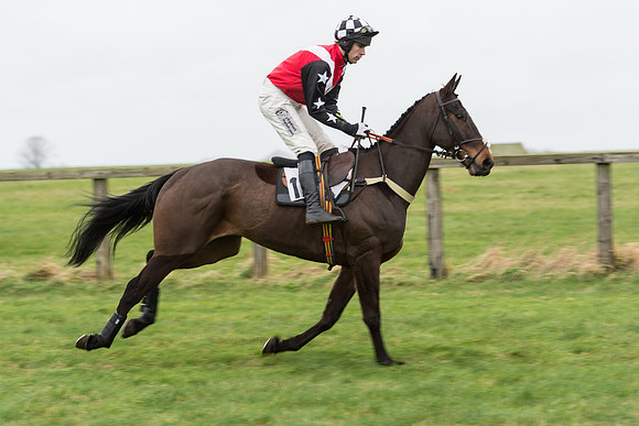 Race 7 - Open Maiden (24 of 131).jpg