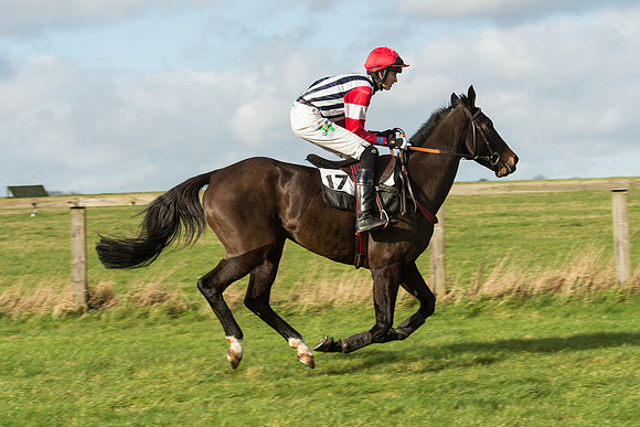 Race 3 - PPORA Members Novice Riders (25 of 84).jpg