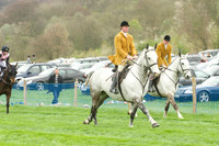 Race 4 - Nov-vets 12