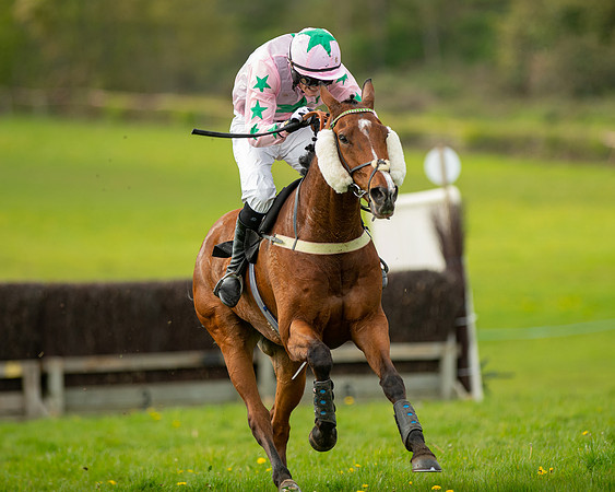 Race 5 - Open Maiden  (77 of 89)