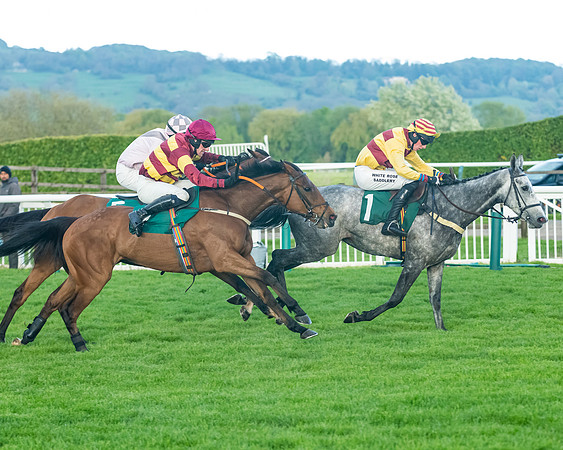 Race 5 - Mares Open  (142 of 329)