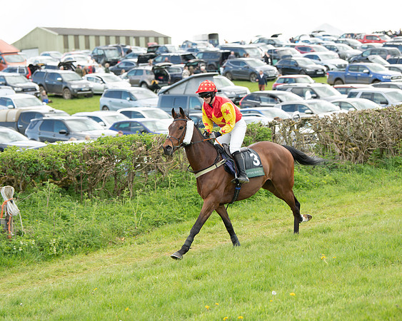Race 5 - Novice and Veteran Riders (6 of 91)