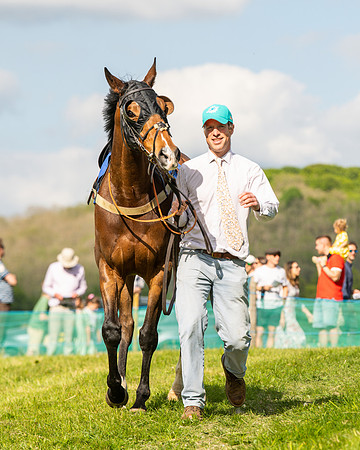 Race 6 - Maiden [2m4f] (9 of 135)