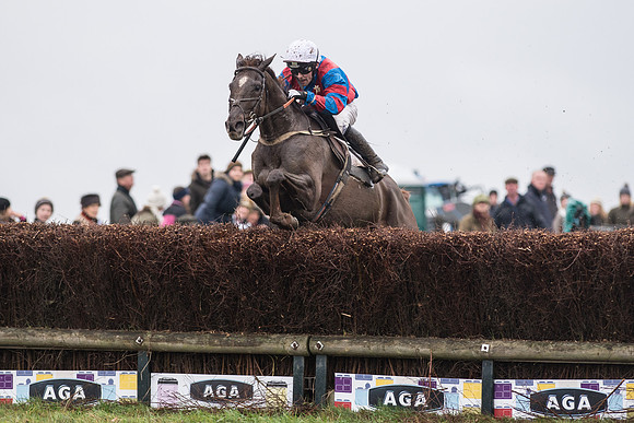 Race 5 - The Intermediate (43 of 59).jpg