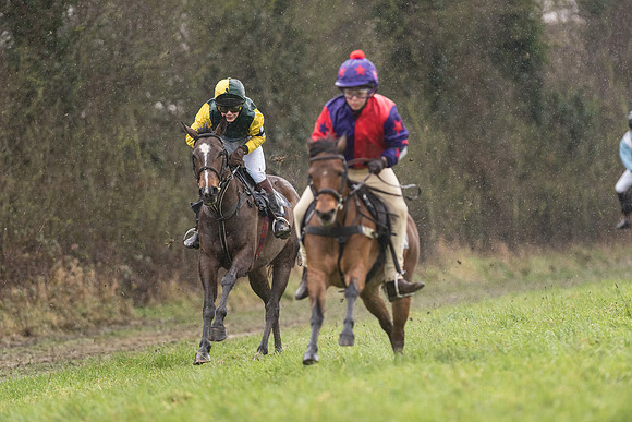 Pony Race 1 -  (15 of 20).jpg