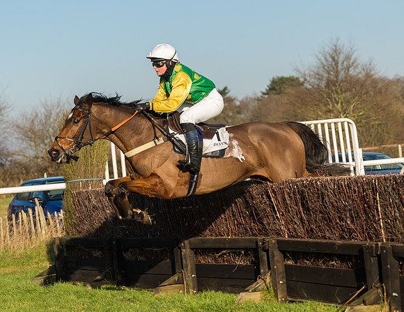 Race 2 - PPORA Novice Riders  (162 of 205)