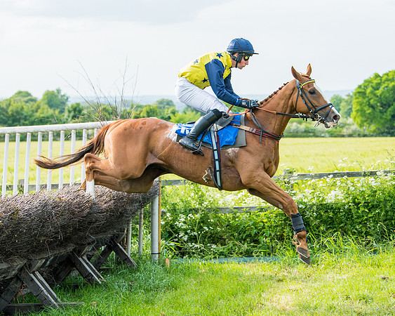 Race 6 - Open Maiden (183 of 346)