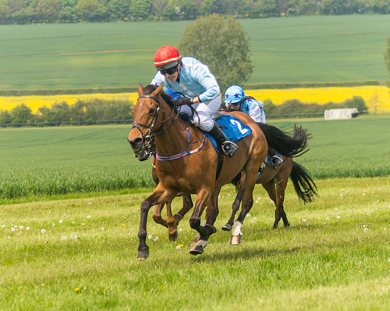 Pony Race 1 - 138cm (41 of 74)