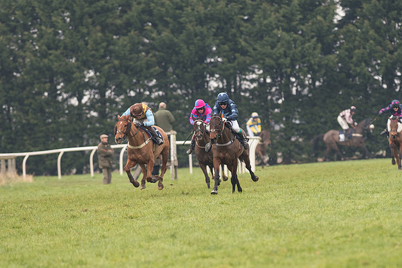 Race 5 - The Restricted Race (62 of 86).jpg