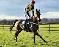 TVRC - Young Hose Maiden - Div 1