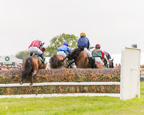 Race 2 - Owner-Trainer Conditions  (101 of 208)