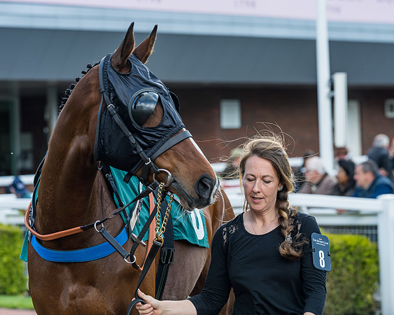 Race 3 - KTDA Open Hunter Chase (14 of 317)