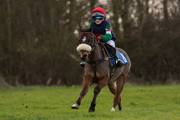 Pony Race 1  (31 of 34).jpg