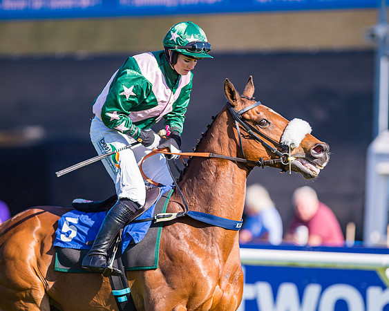 Race 1 - JFF Open Hunter Steeple Chase 2m  (45 of 202)