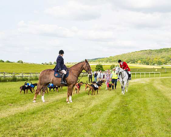 Draghounds Race (211 of 212)