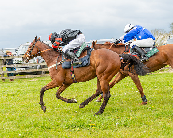 Race 2 - ROR and veteran Horse Conditions race (51 of 77)