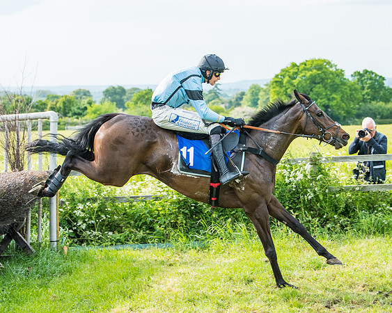 Race 6 - Open Maiden (233 of 346)