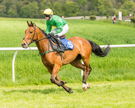 Race 2 - The Restricted Race  (48 of 122)