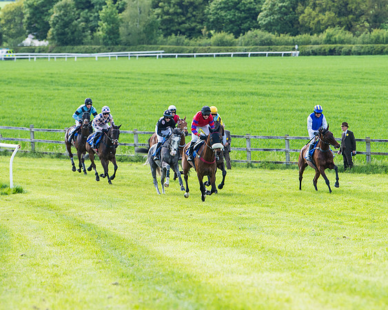 Race 5 - 2m5f Maiden (39 of 144)
