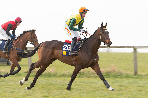 Race 6 Div 2 - Open Maiden  (35 of 131).jpg