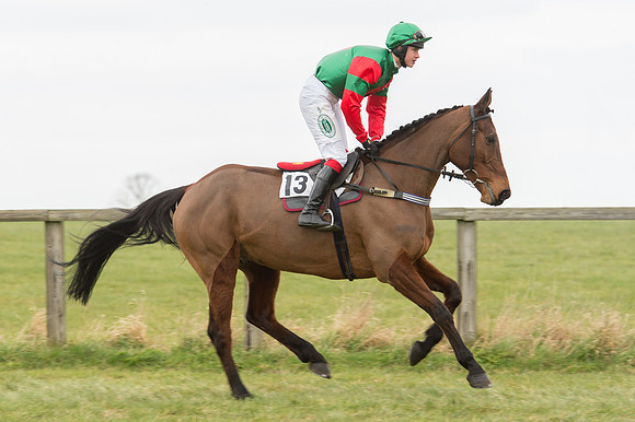 Race 2 - PPORA Novice riders  (49 of 186).jpg
