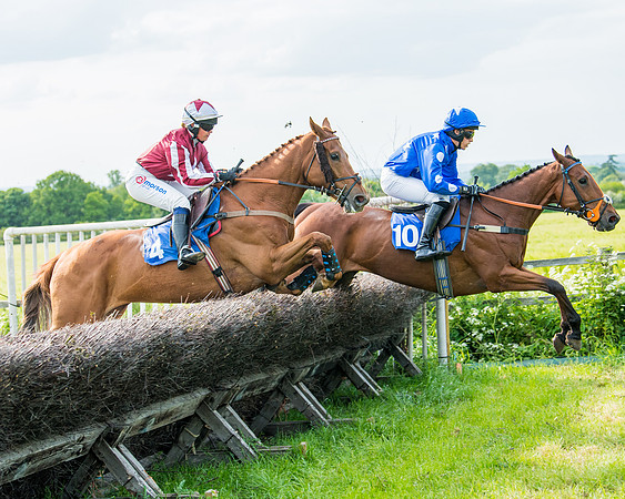 Race 6 - Open Maiden (191 of 346)