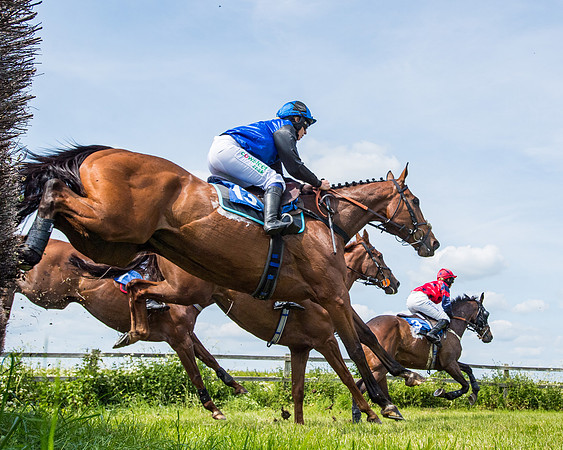 Race 2 - PPORA Novice Riders (243 of 444)