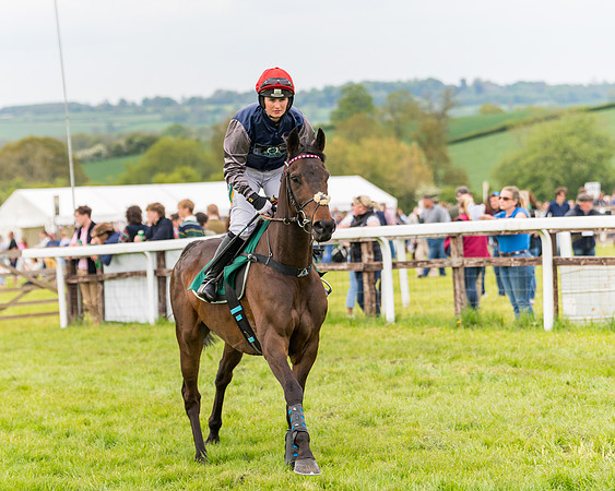 Race 7 - Veteran Horse conditions (87 of 244)