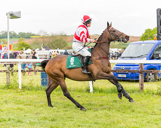Race 7 - Veteran Horse conditions (46 of 244)