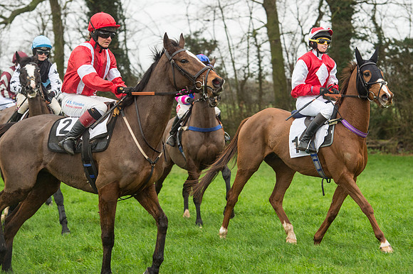 Race 5 - Ladies Open Race (37 of 119).jpg
