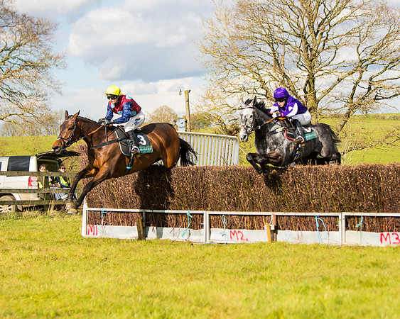 Race 5 - Restricted  (36 of 118)