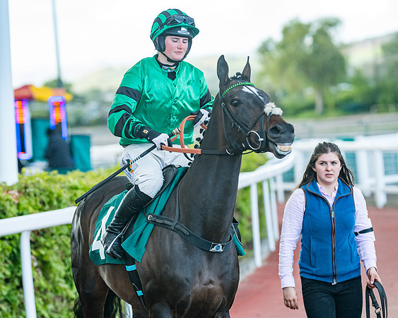 Race 5 - Mares Open  (40 of 329)