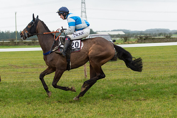 Race 6 - Open Maiden Race Div 2  (12 of 118).jpg