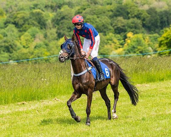 Race 2 - PPORA Novice Riders (180 of 444)