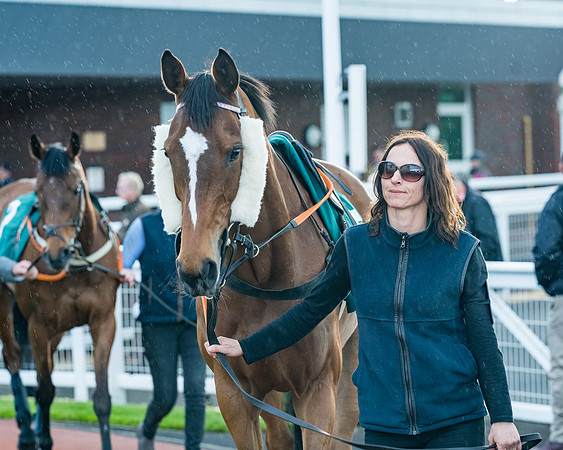 Race 5 - Mares Open  (18 of 329)