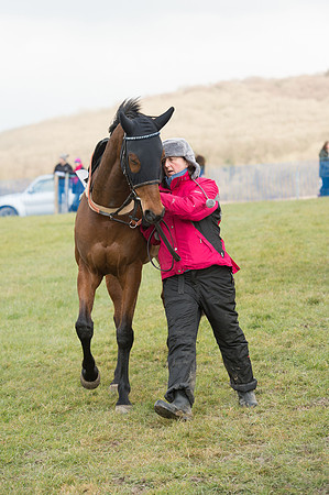 Race 1 - Div 2 - Young Horse Maiden (16 of 122).jpg